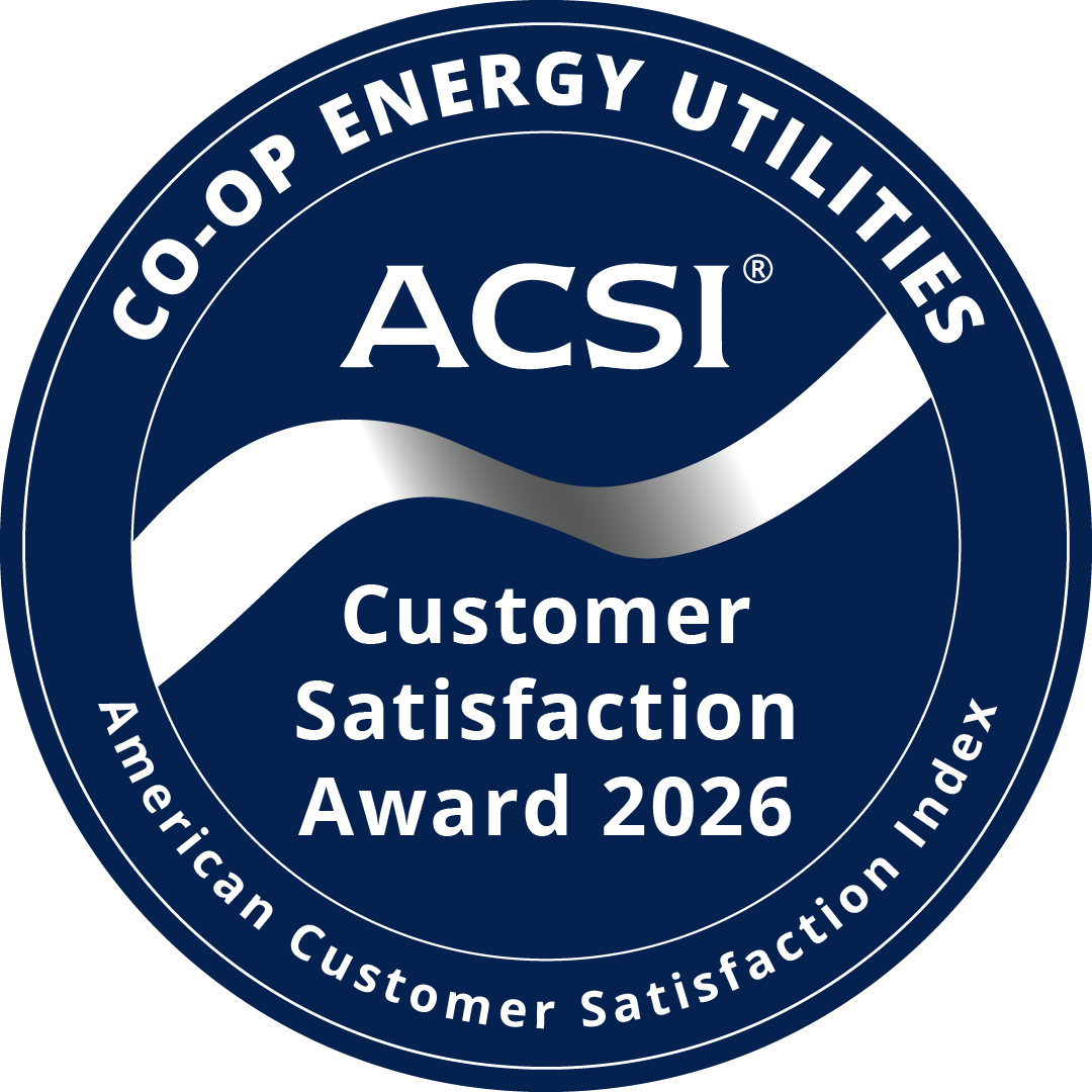 ACSI 2026 Customer Satisfaction Award