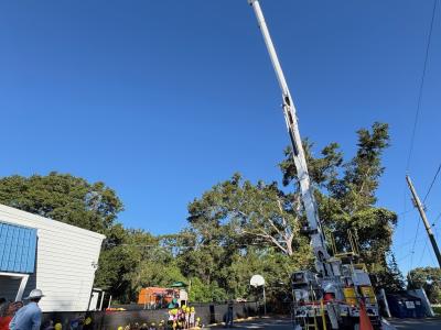 Community Helpers Day