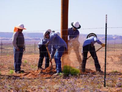 Light Up Navajo