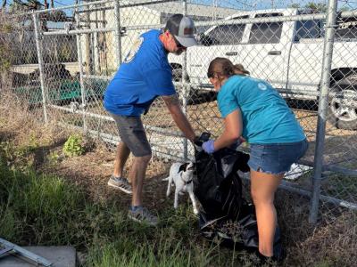 Coastal Cleanup
