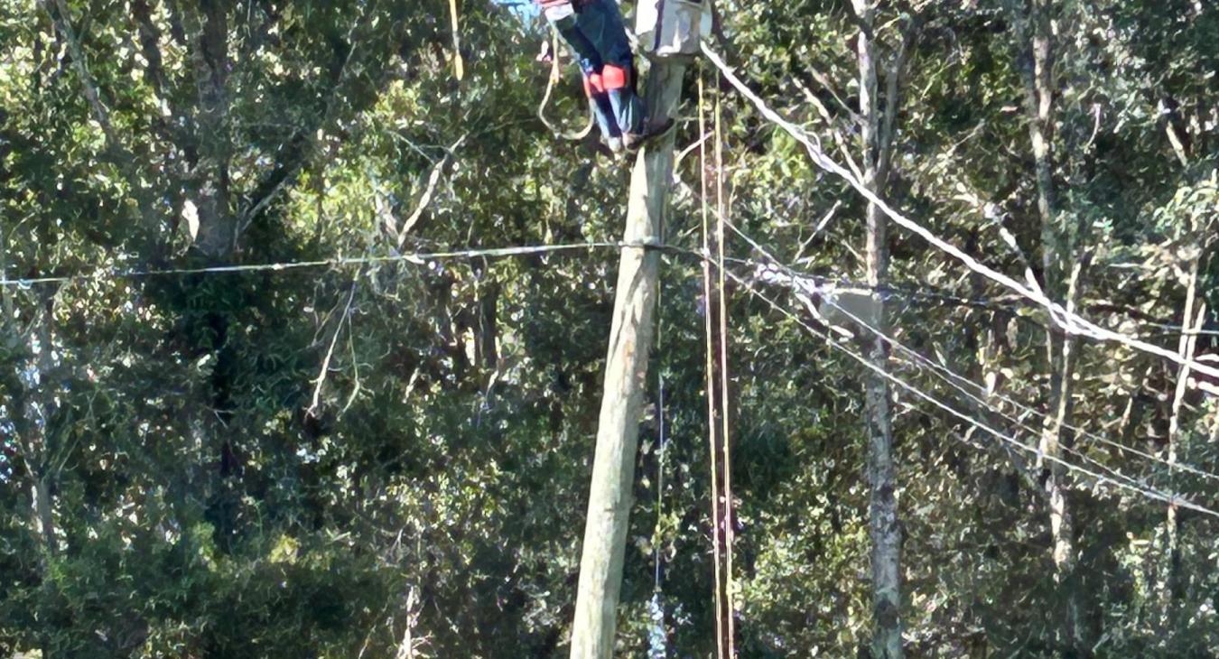 WREC Crews Return Home from Louisiana