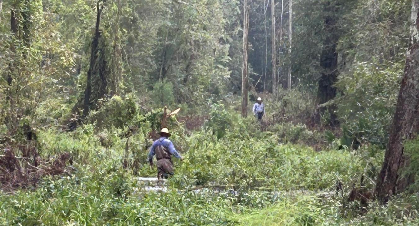 WREC Crews Return Home from Louisiana