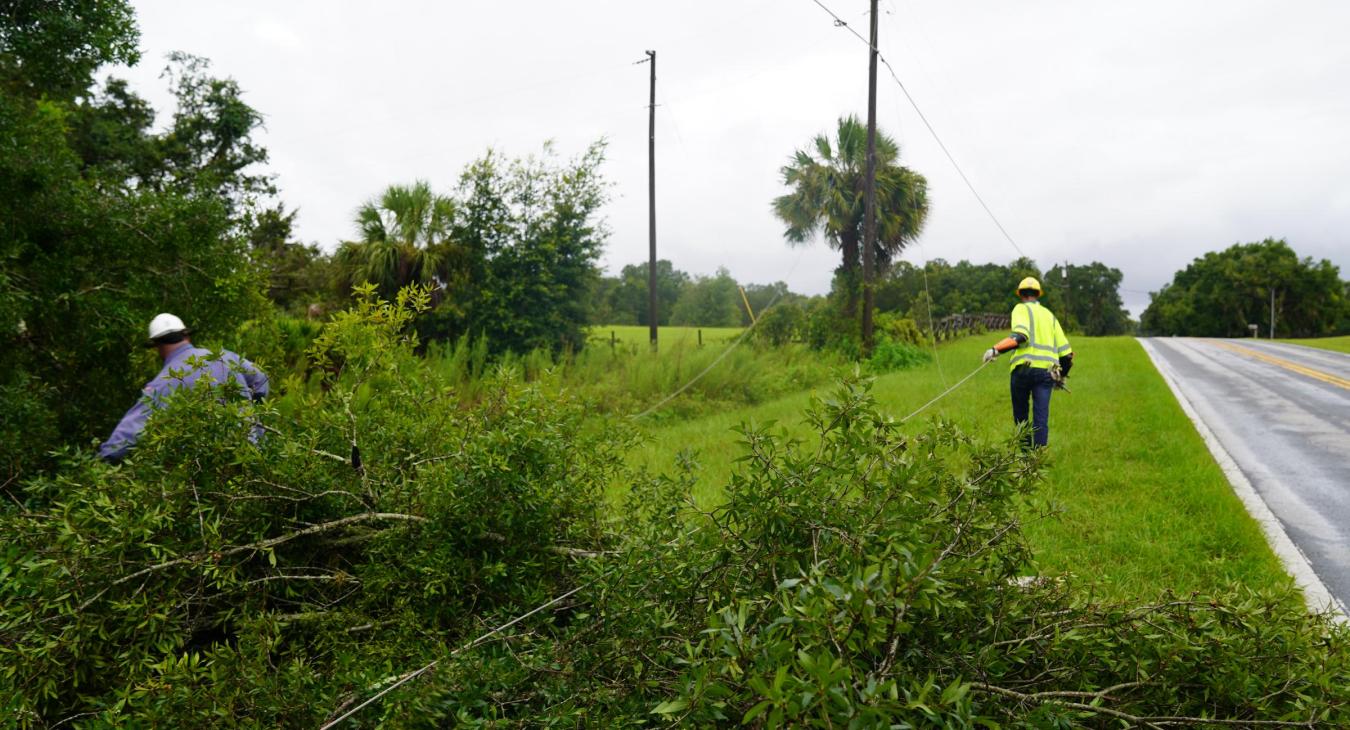 WREC crews working to restore power